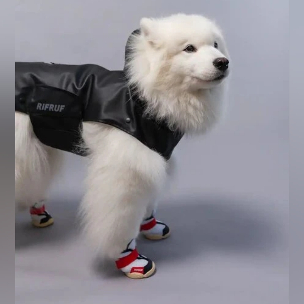 RIFRUF | Stormhunter Dog Raincoat in Truffle (black) sz 10 - Picture 8 of 10